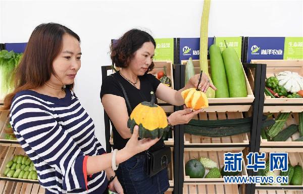 中國(guó)云南蔬菜種業(yè)博覽會(huì)在武定舉行1.jpg