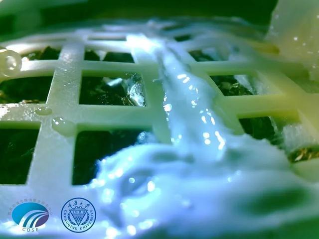 月面長(zhǎng)出第一株嫩芽.jpg