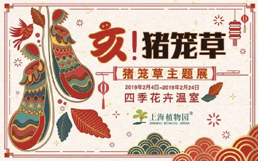 豬籠草主題展0.webp.jpg