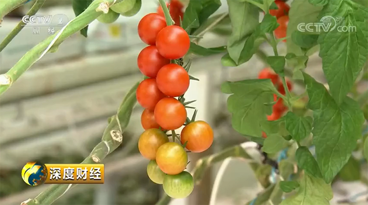 c947a23606b39f211109fe6608713c0b.png 微信截圖_20190430082639.png