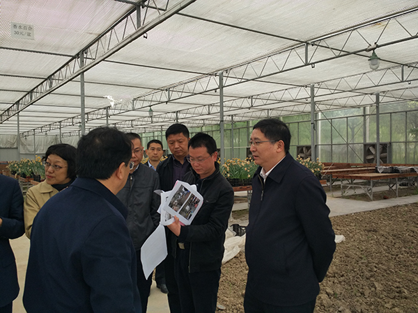 國家發(fā)展改革委帶隊赴上海開展“大棚房”問題專項清理整治行動核查工作.jpg